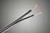 Tchernov Cable Standard 2 SC акустический кабель