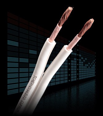 TchernovAudio ORIGINAL TWO SC 